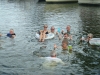 DSC06649.jpg